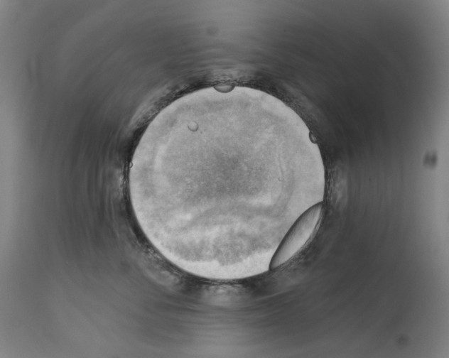 X0000114020716200911131227