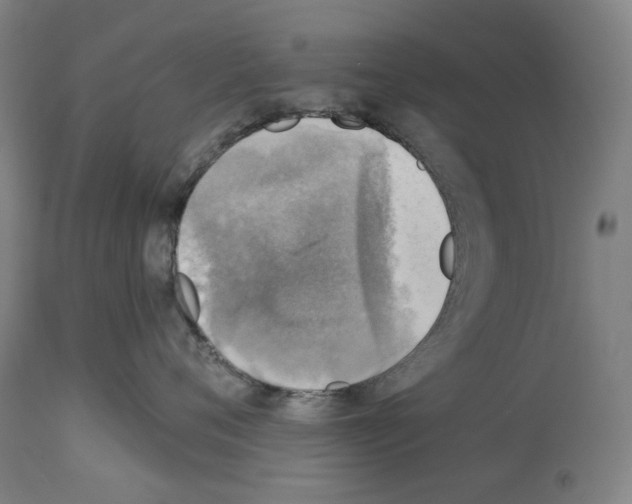 X0000114020720200911131227