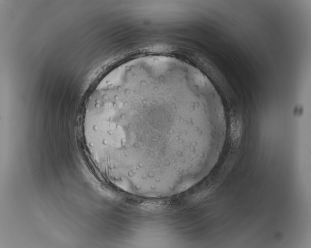 X0000114020725200911131226