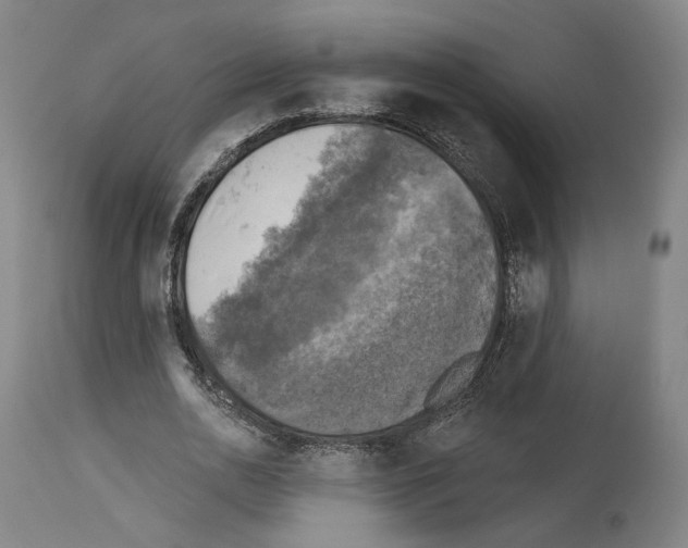 X0000114020726200911131226