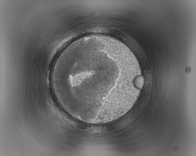 X0000114020727200911131226