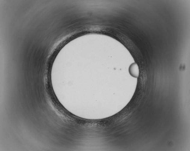 X0000114020728200911131226