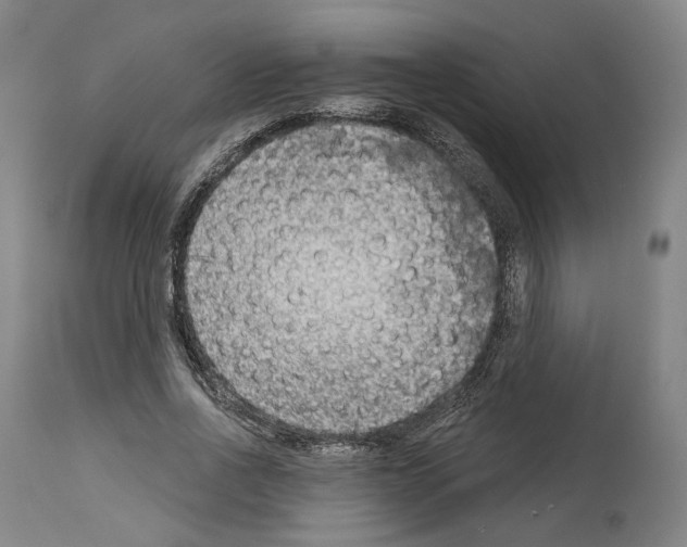 X0000114020734200911131226