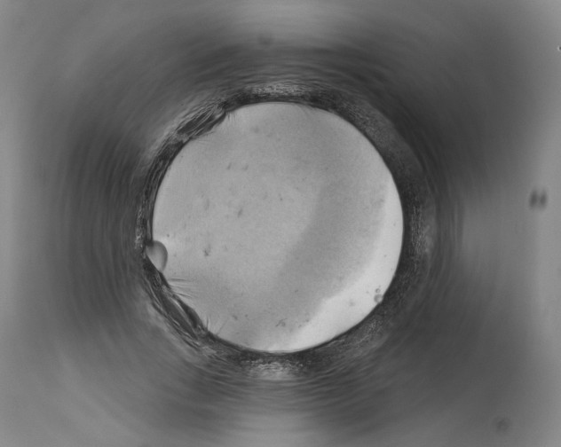 X0000114020735200911131226