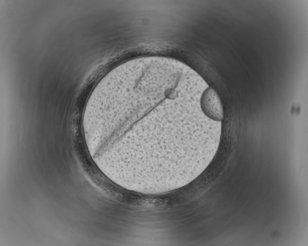 X0000114020736200911131226