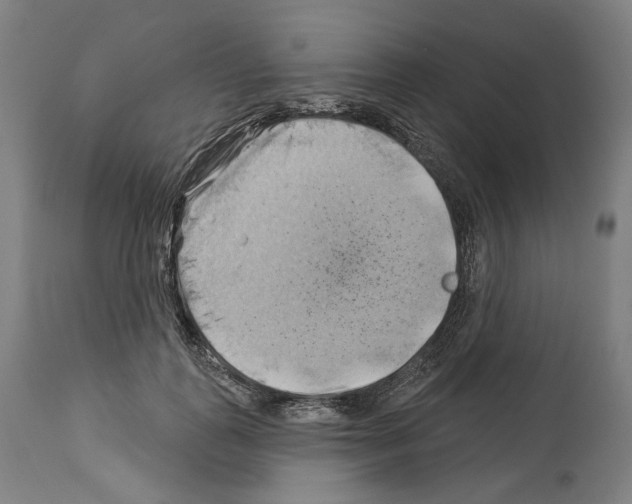 X0000114020747200911131226