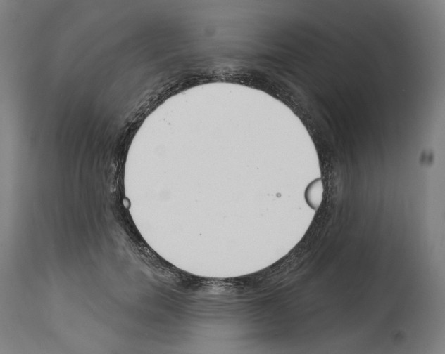 X0000114020750200911131226