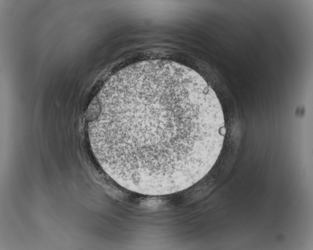 X0000114020759200911131226