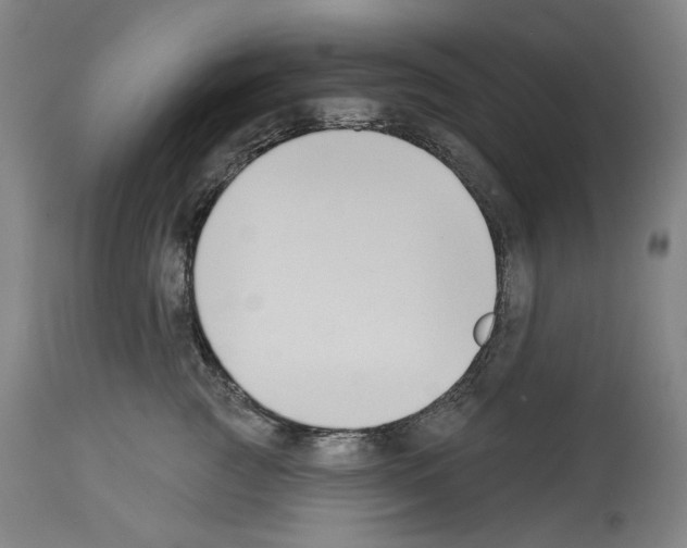 X0000114020761200911131226