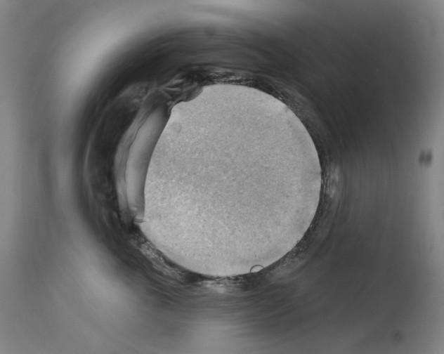 X0000114020763200911131226