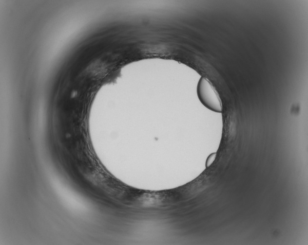 X0000114020764200911131227