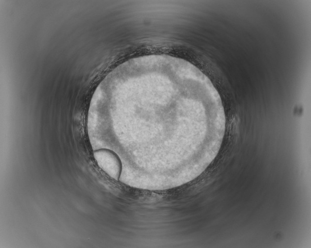 X0000114020772200911131226