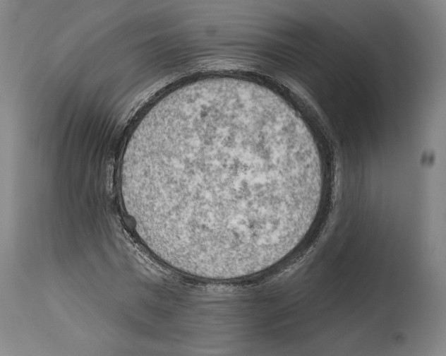 X0000114020777200911131226