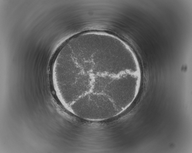 X0000114020779200911131226