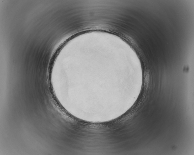 X0000114020780200911131226