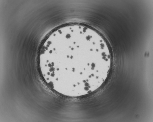 X0000114020783200911131226