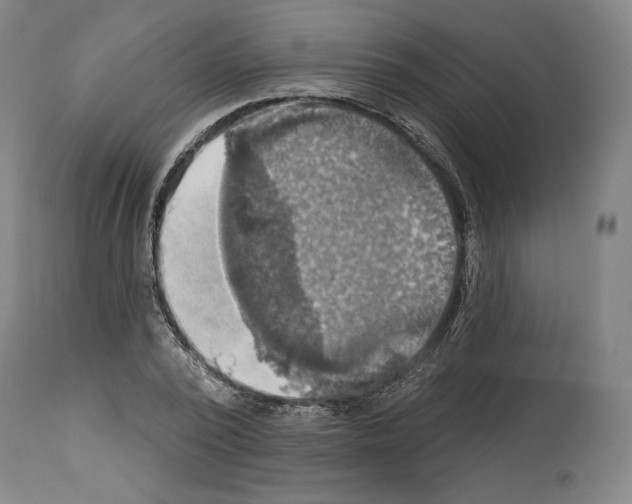 X0000114020784200911131226