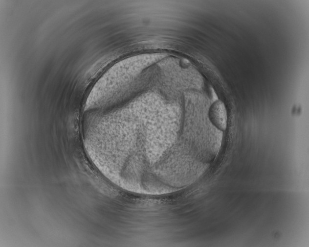 X0000114020785200911131226