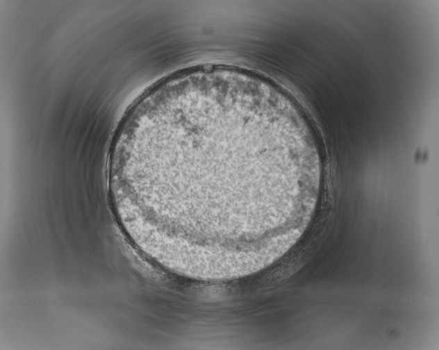 X0000114020791200911131225