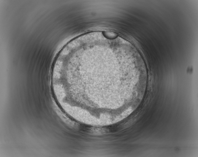 X0000114020795200911131225