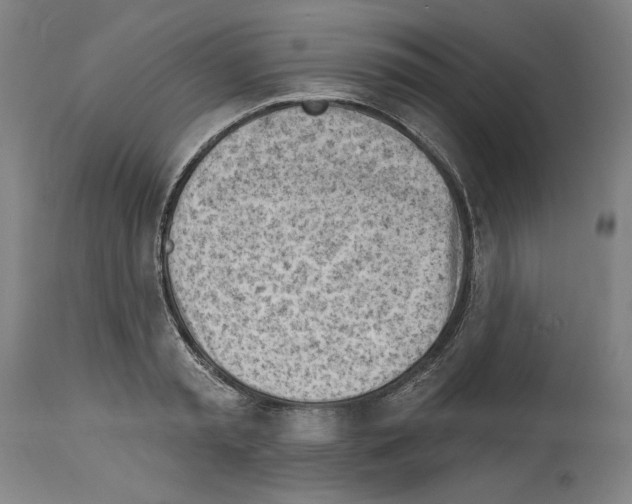 X0000114020797200911131225