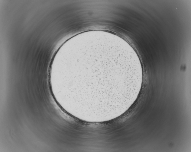 X0000114020803200911131225