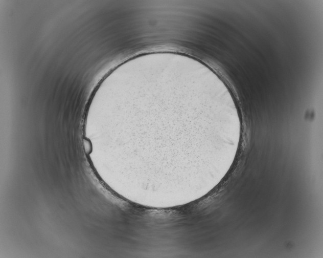 X0000114020805200911131225