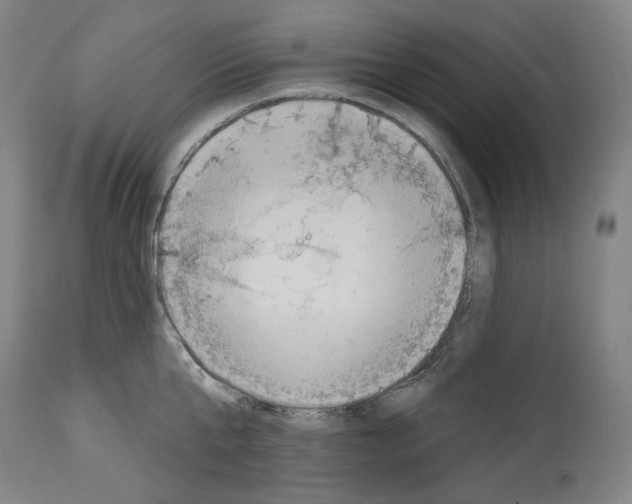 X0000114020807200911131225