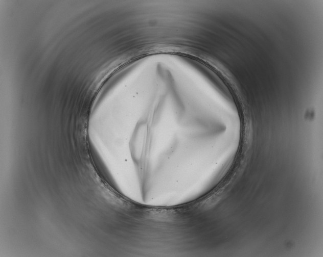 X0000114020809200911131225