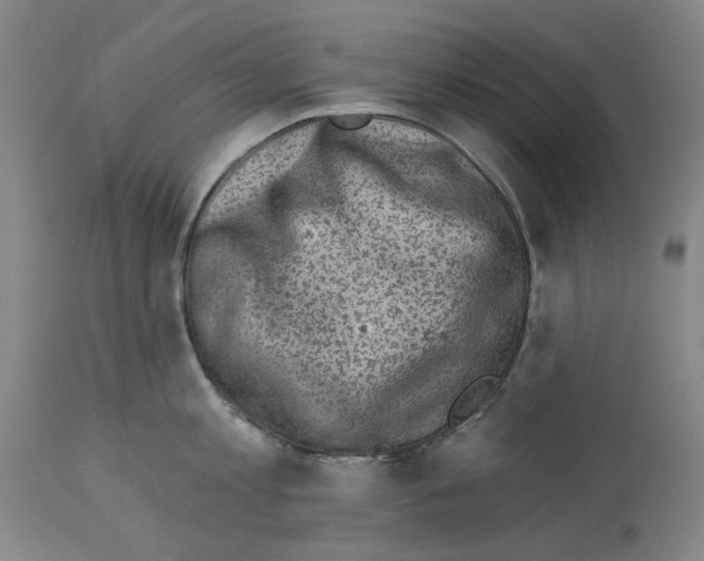 X0000114020813200911131225