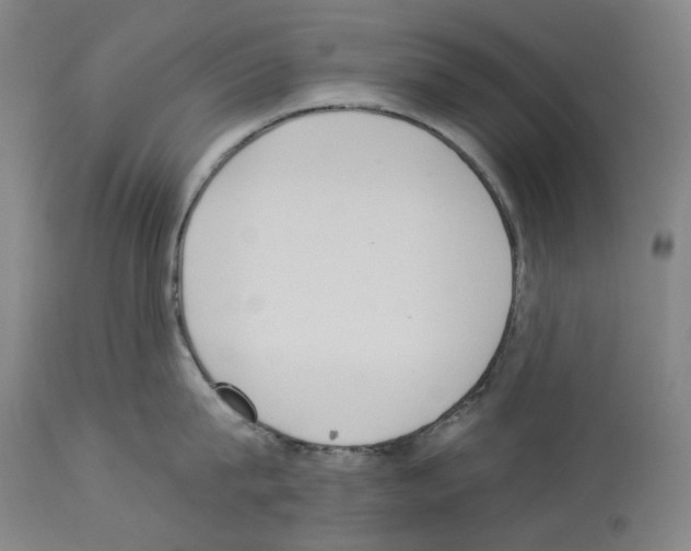 X0000114020815200911131225