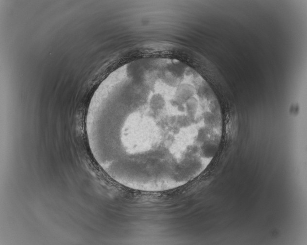 X0000114020819200911131224