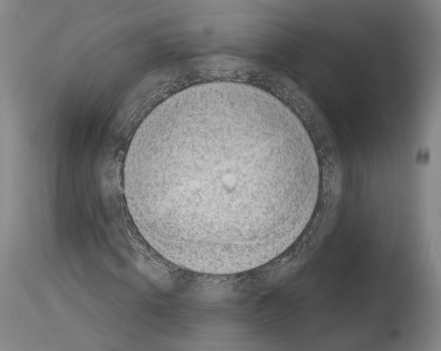 X0000114020820200911131224