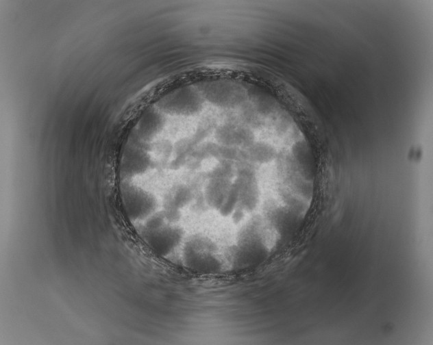 X0000114020821200911131224