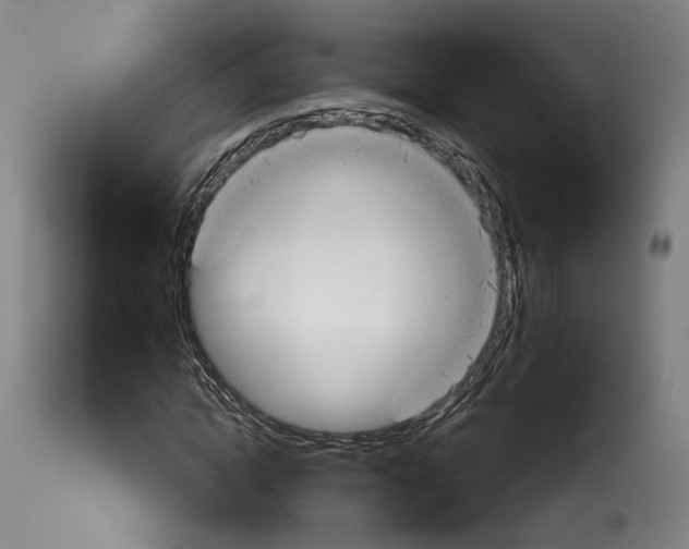 X0000114020822200911131224