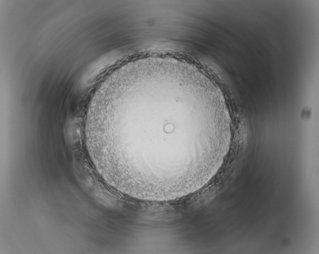 X0000114020824200911131225