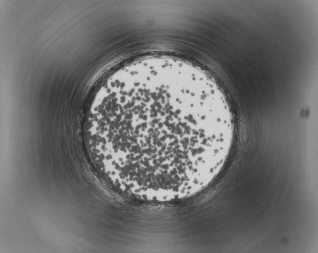 X0000114020826200911131225