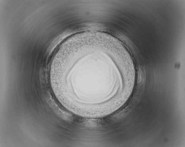 X0000114020828200911131225