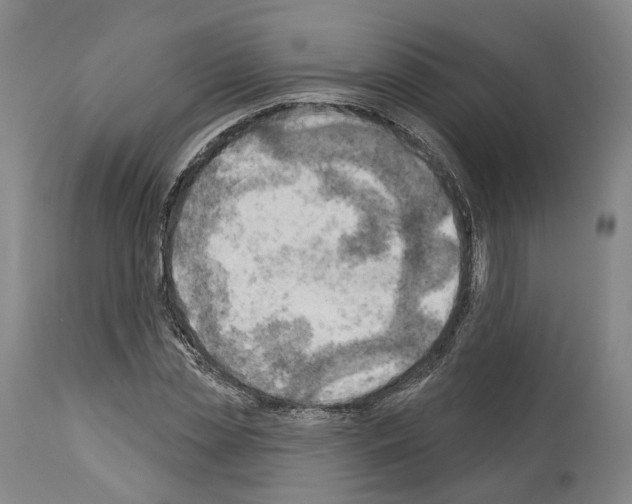 X0000114020829200911131225