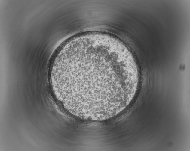 X0000114020830200911131225