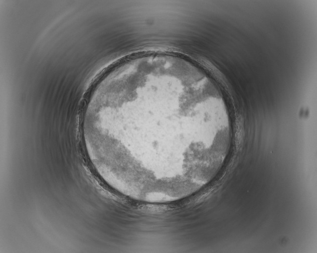 X0000114020831200911131225