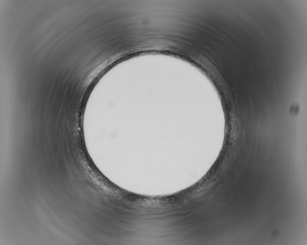 X0000114020834200911131225