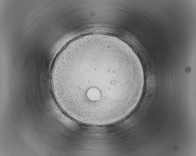 X0000114020836200911131225