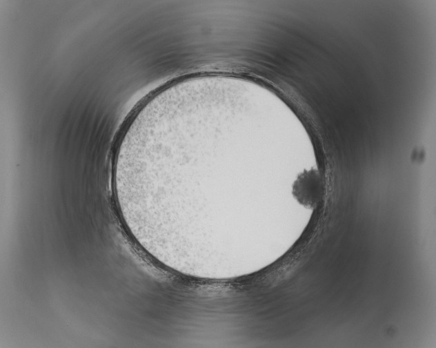 X0000114020838200911131225