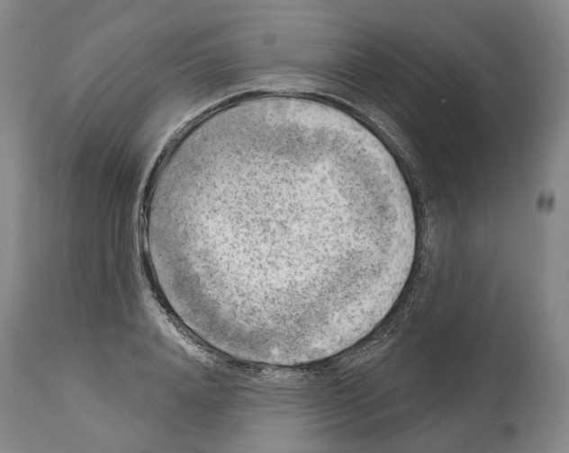 X0000114020840200911131225