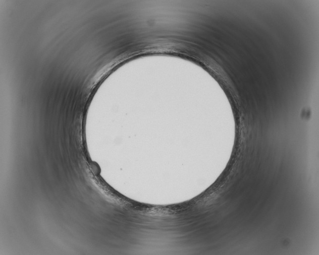 X0000114020842200911131225