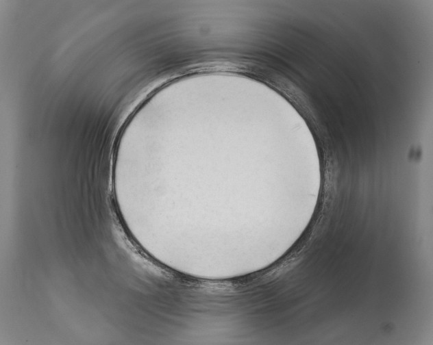 X0000114020844200911131225