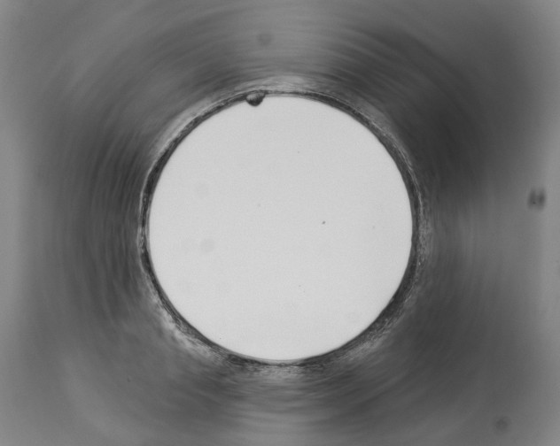 X0000114020845200911131225