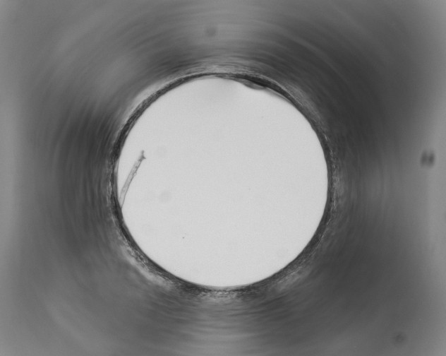 X0000114020846200911131225