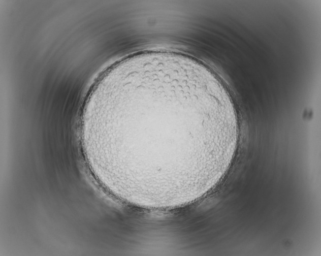 X0000114020848200911131225